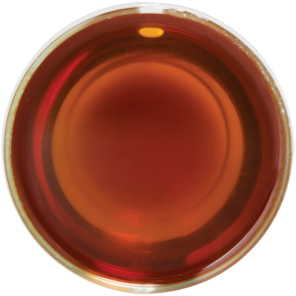 Чорний чай "Дарджилінг" (FTGFOP1), 50 г